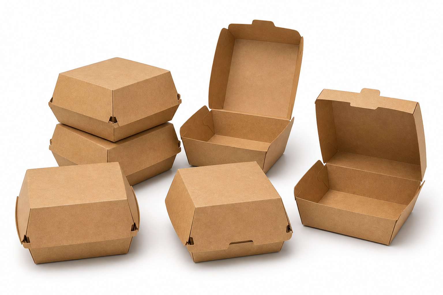 Takeaway Boxes: FAST FOOD BOXES